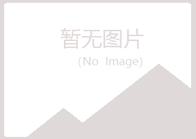 湖北晓夏采矿有限公司